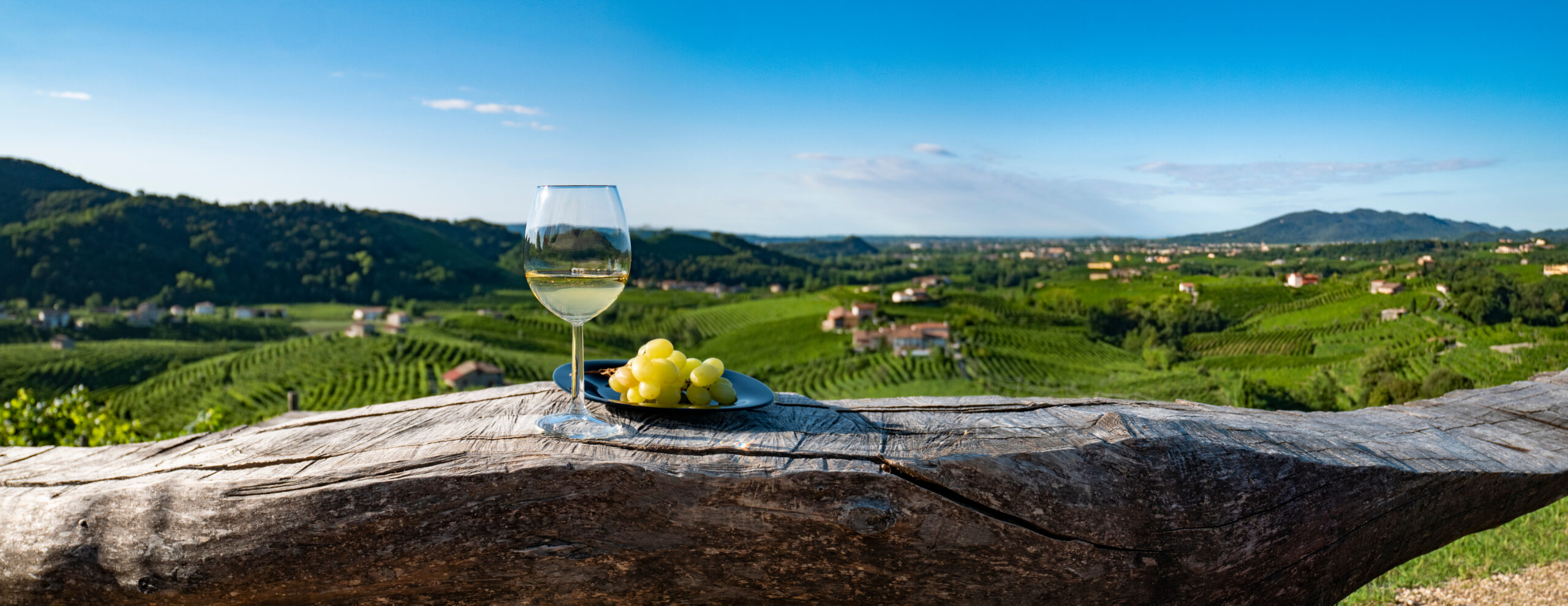 Wineglass,With,Grapes,On,A,Wood,Table,,Italian,Wine,,Glass italiaanse witte en rose wijnen proeverij
